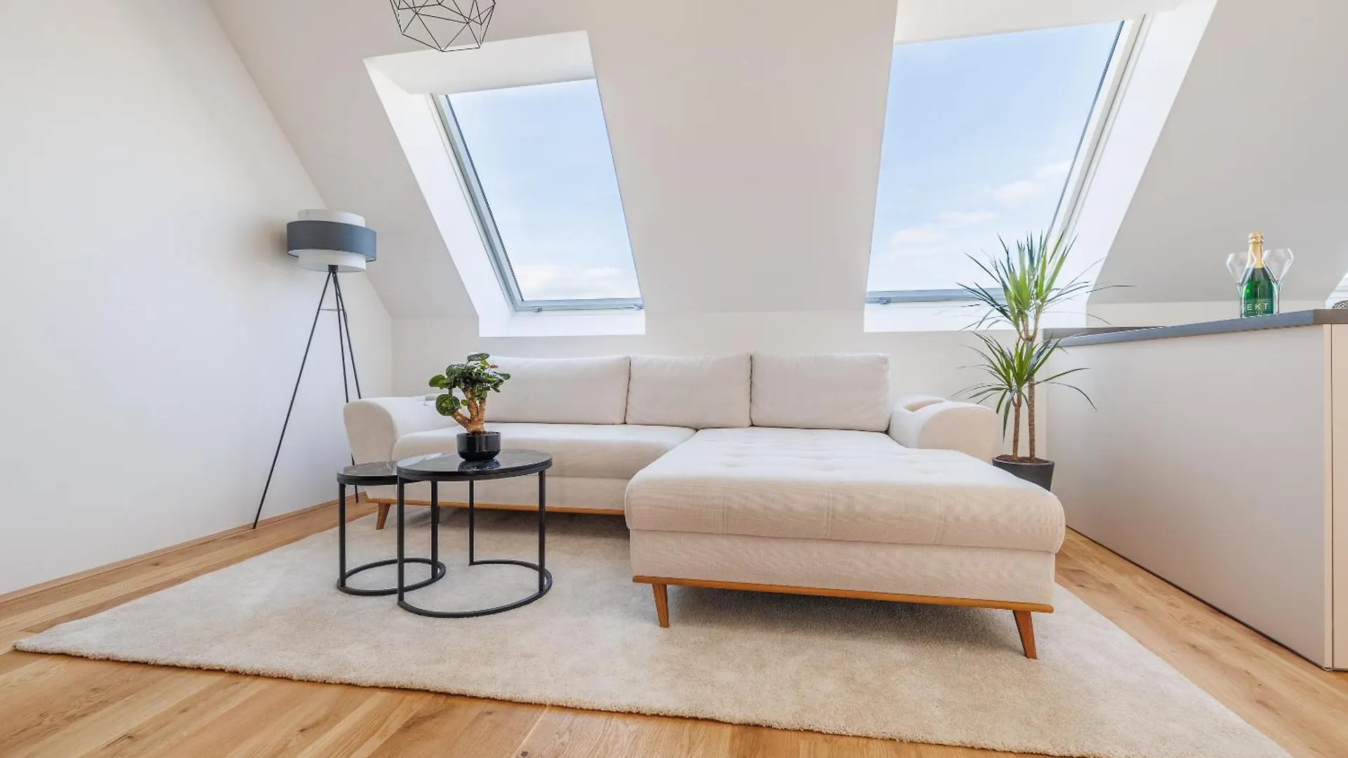 Symphony Apartments 38 - Modern Loft With Terrace And Grill In Central Location Vienna
