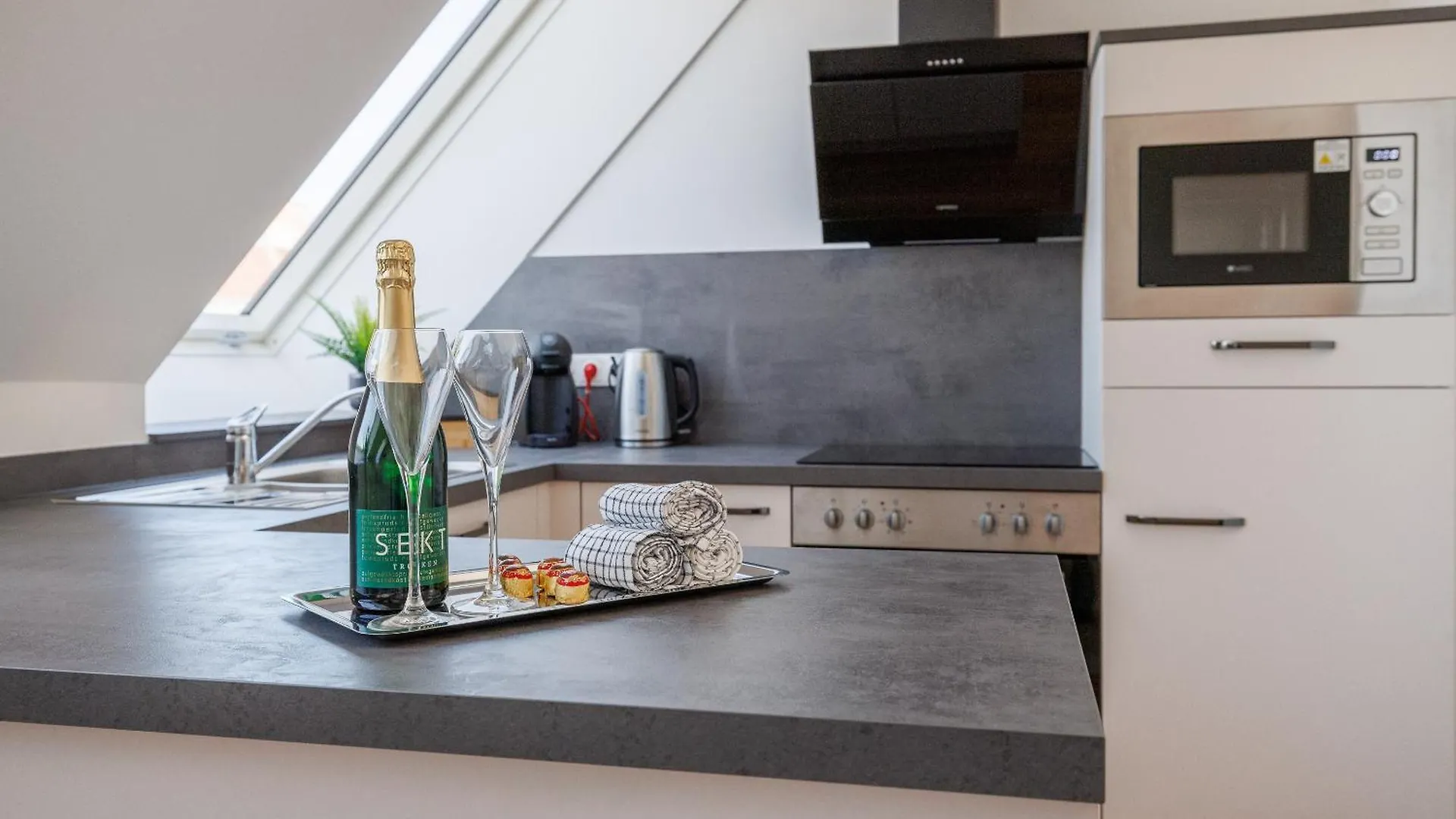 Symphony Apartments 38 - Modern Loft With Terrace And Grill In Central Location Vienna