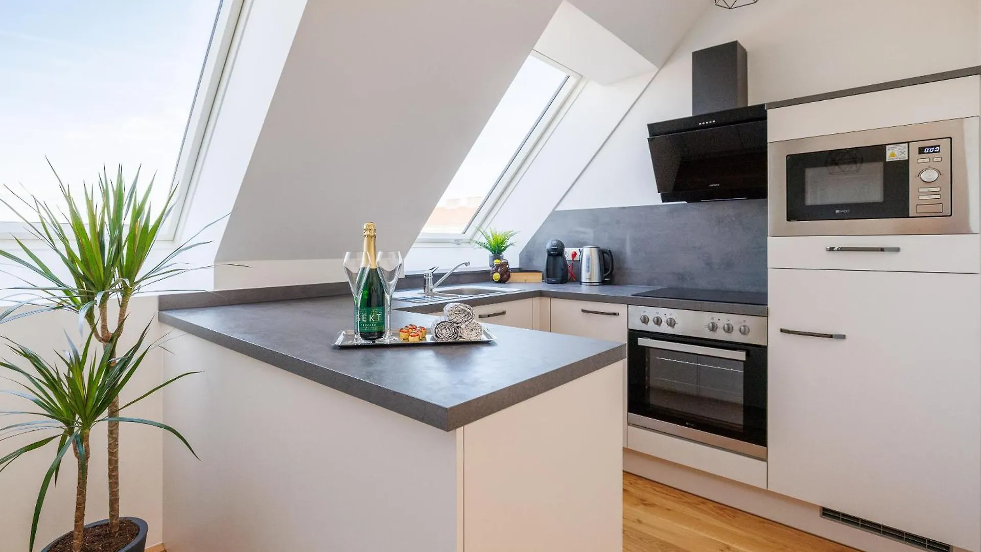 Symphony Apartments 38 - Modern Loft With Terrace And Grill In Central Location Vienna